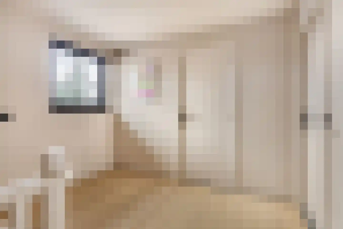 Zwaluwendonk 12 Veghel thumbnail 28
