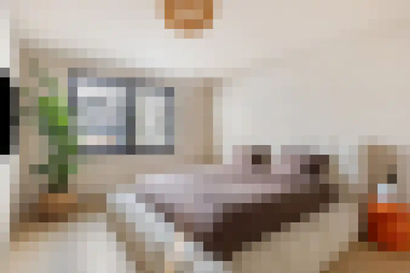 Zwaluwendonk 12 Veghel thumbnail 29