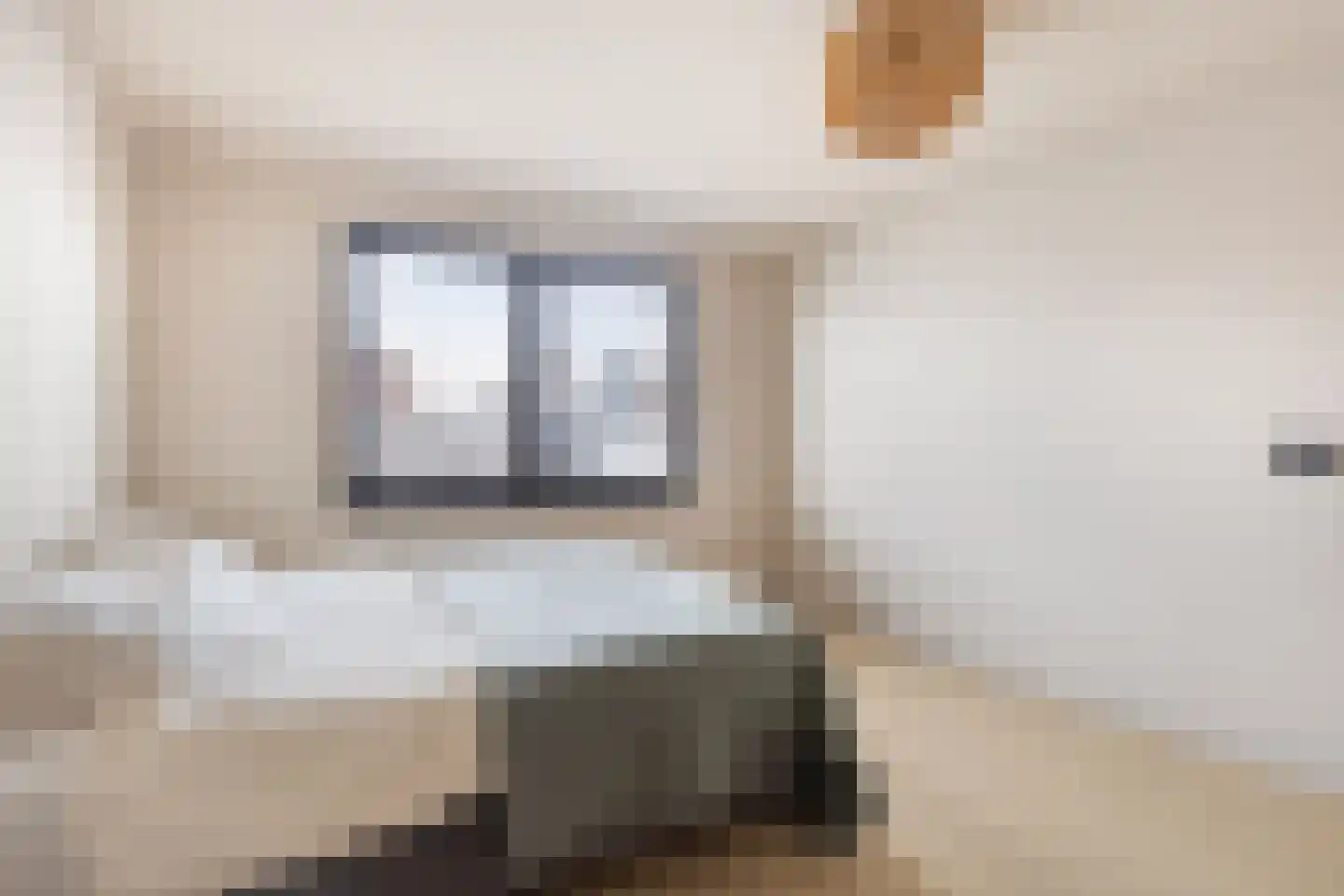 Zwaluwendonk 12 Veghel thumbnail 30