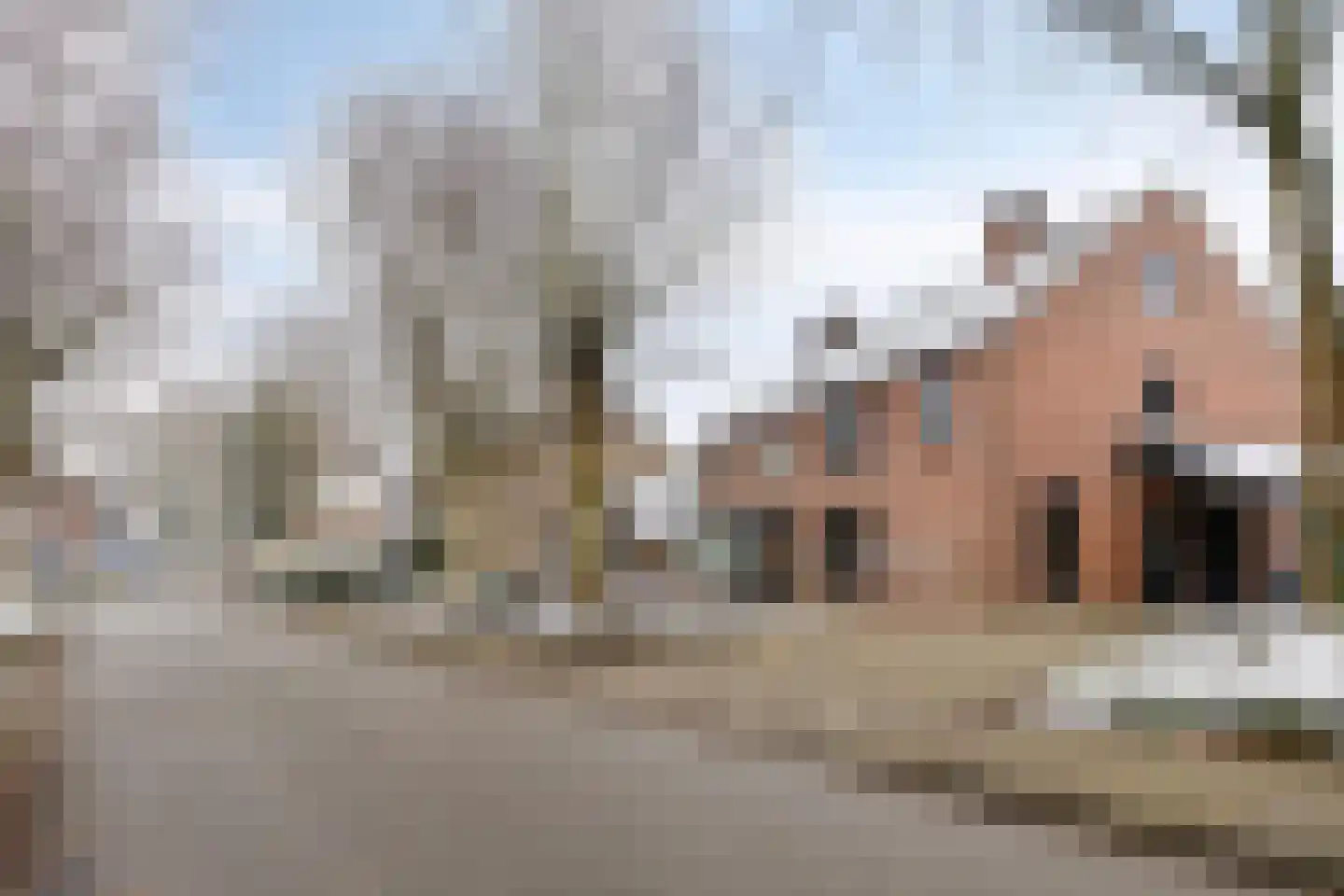 Zwaluwendonk 12 Veghel thumbnail 43
