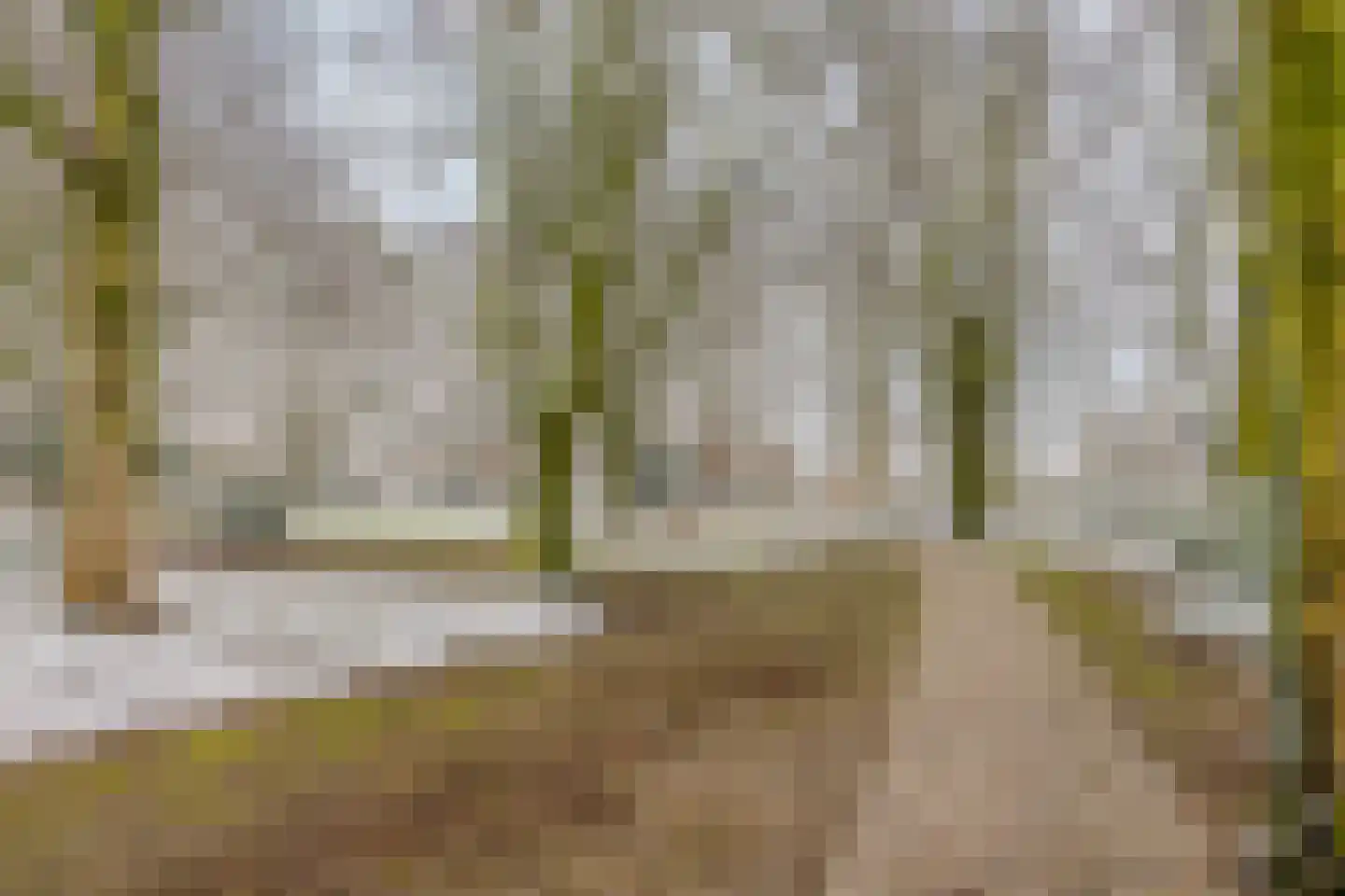 Zwaluwendonk 12 Veghel thumbnail 44
