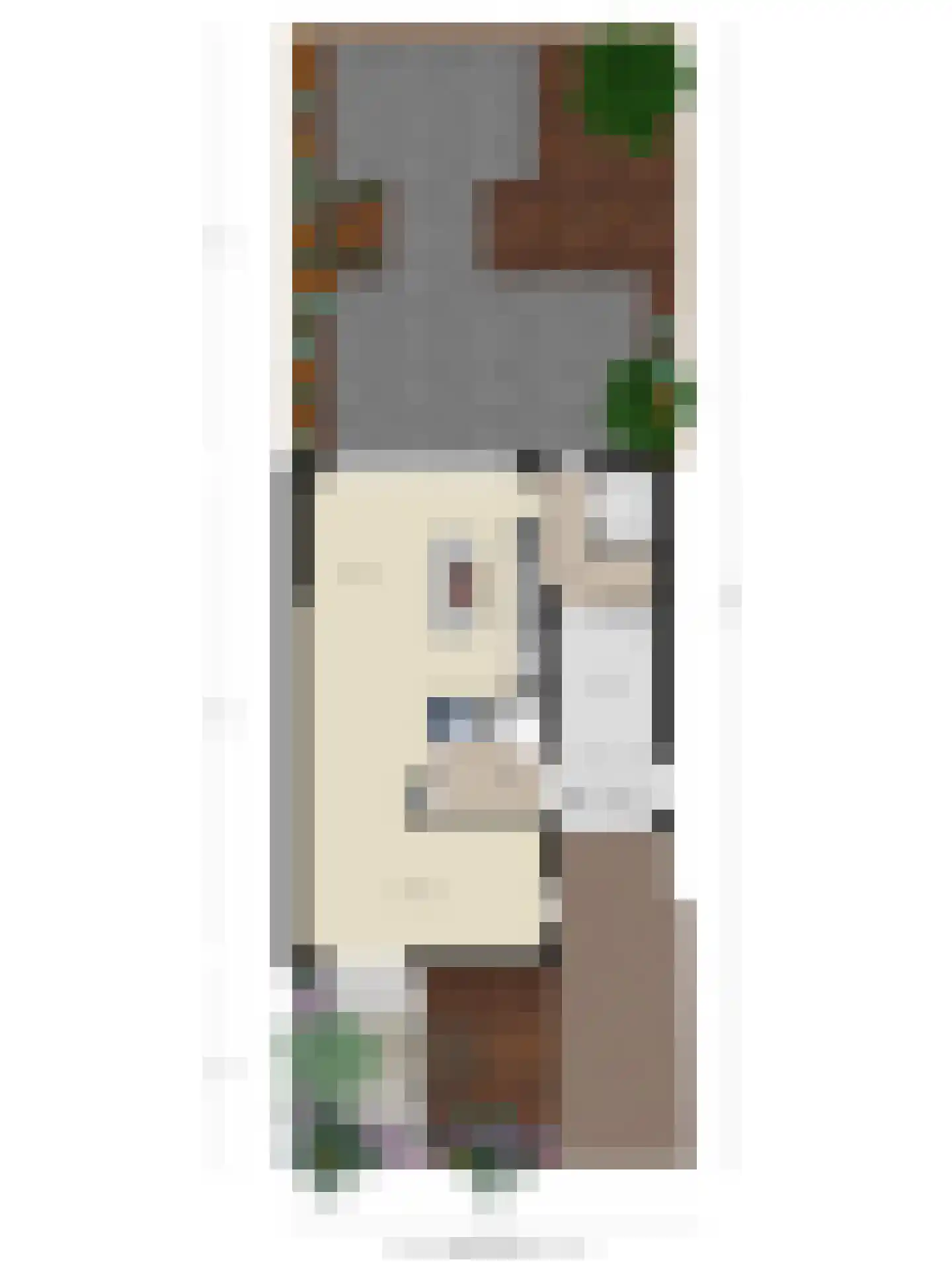 Zwaluwendonk 12 Veghel thumbnail 45