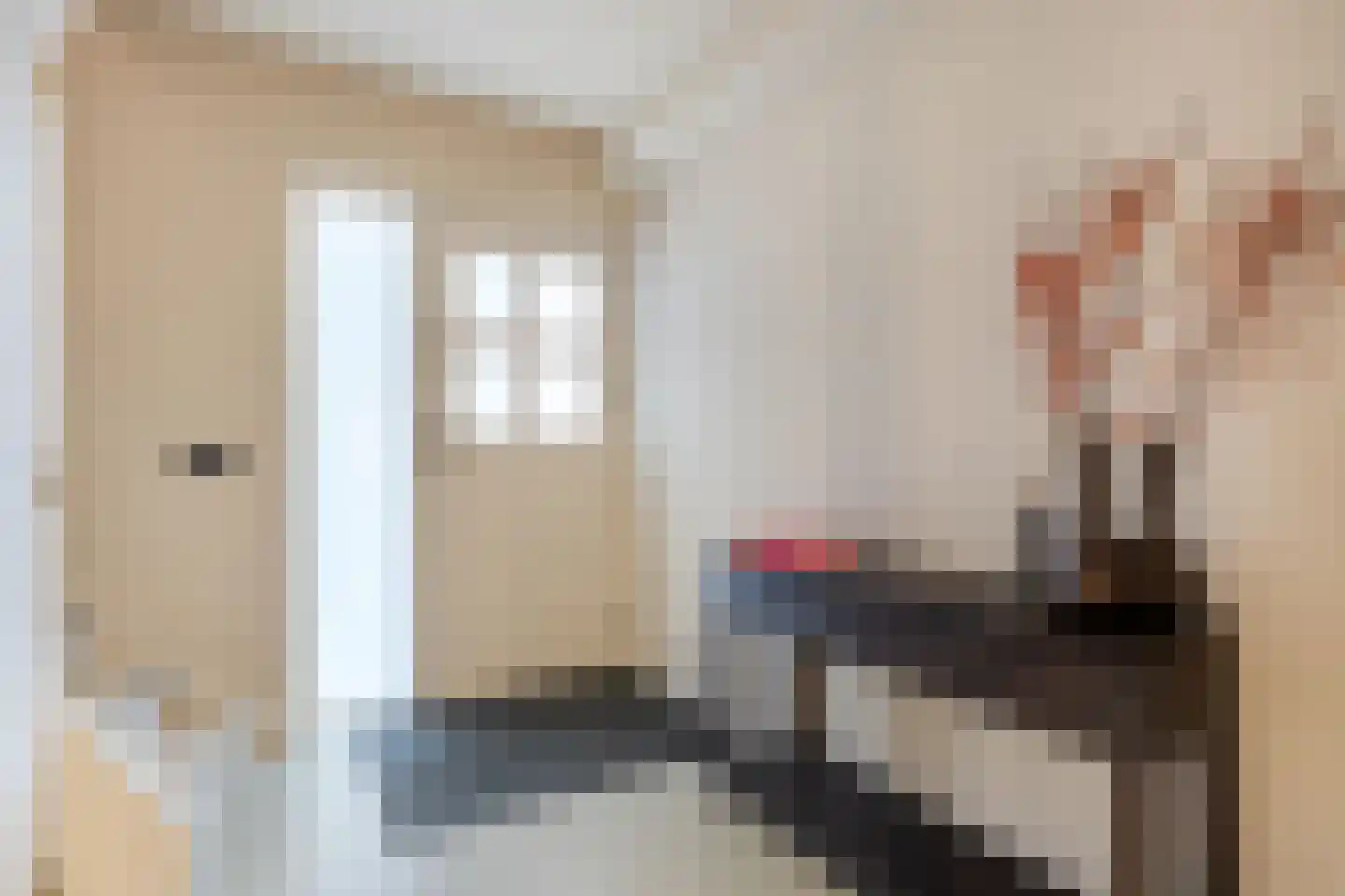 Zwaluwendonk 12 Veghel thumbnail 8