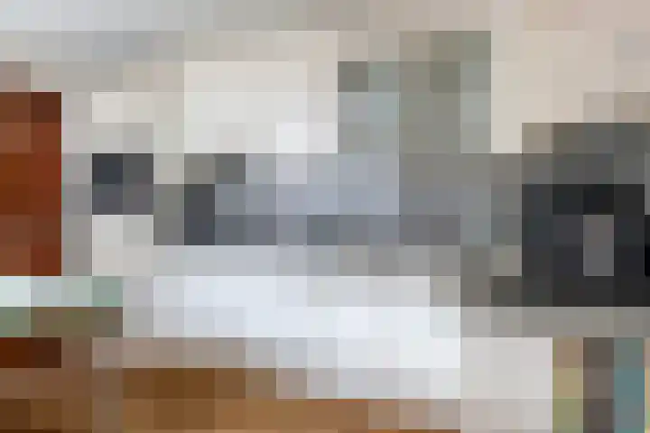 Zwaluwendonk 14 Veghel thumbnail 10