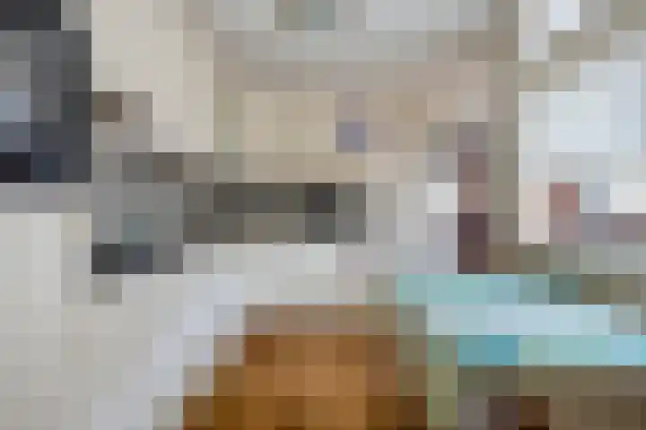 Zwaluwendonk 14 Veghel thumbnail 11