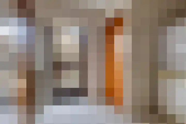 Zwaluwendonk 14 Veghel thumbnail 12