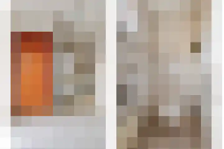 Zwaluwendonk 14 Veghel thumbnail 13