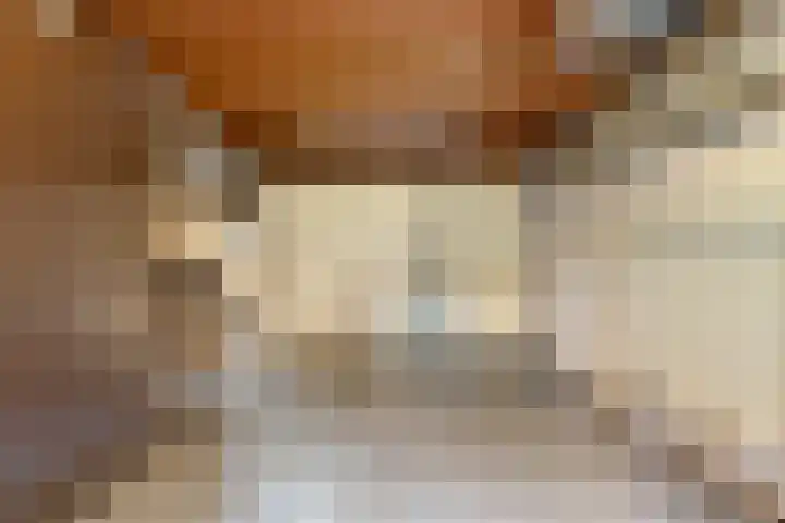 Zwaluwendonk 14 Veghel thumbnail 15