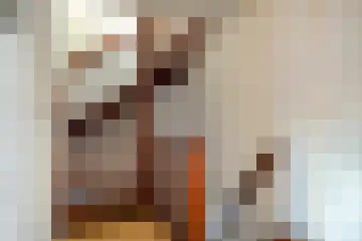 Zwaluwendonk 14 Veghel thumbnail 16