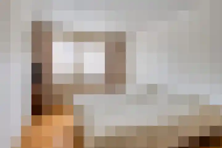 Zwaluwendonk 14 Veghel thumbnail 17