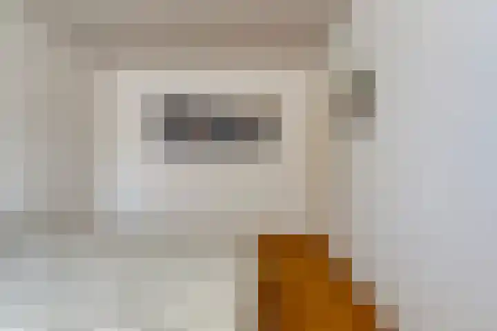 Zwaluwendonk 14 Veghel thumbnail 18