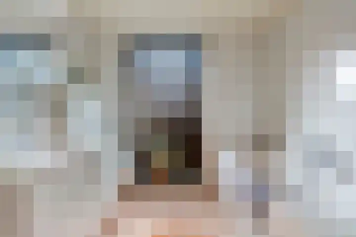 Zwaluwendonk 14 Veghel thumbnail 19