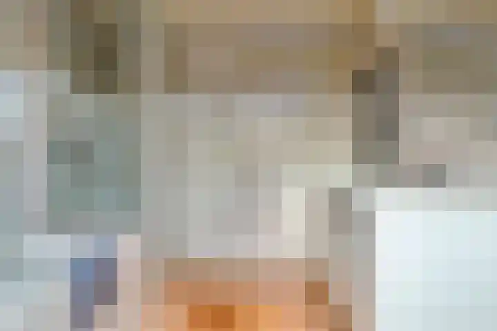 Zwaluwendonk 14 Veghel thumbnail 20