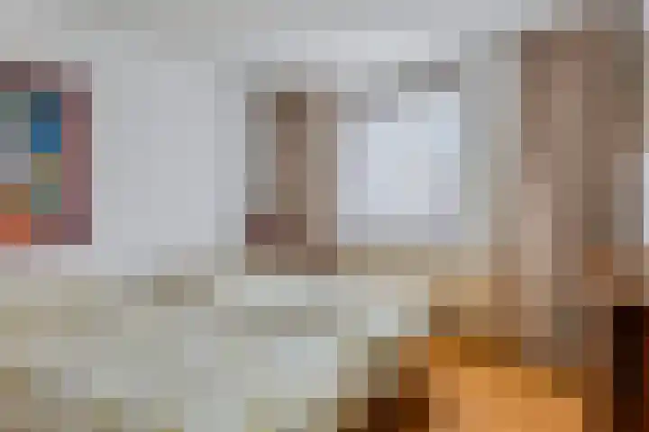 Zwaluwendonk 14 Veghel thumbnail 21
