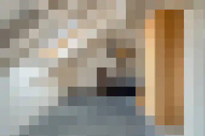 Zwaluwendonk 14 Veghel thumbnail 26