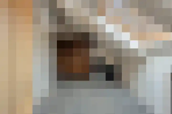 Zwaluwendonk 14 Veghel thumbnail 27