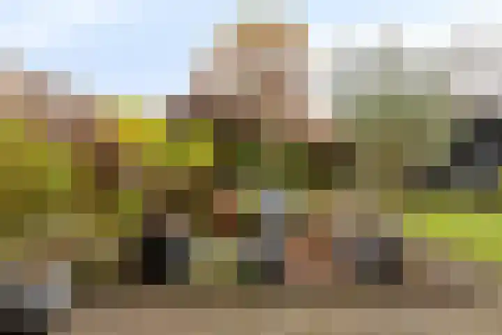 Zwaluwendonk 14 Veghel thumbnail 28