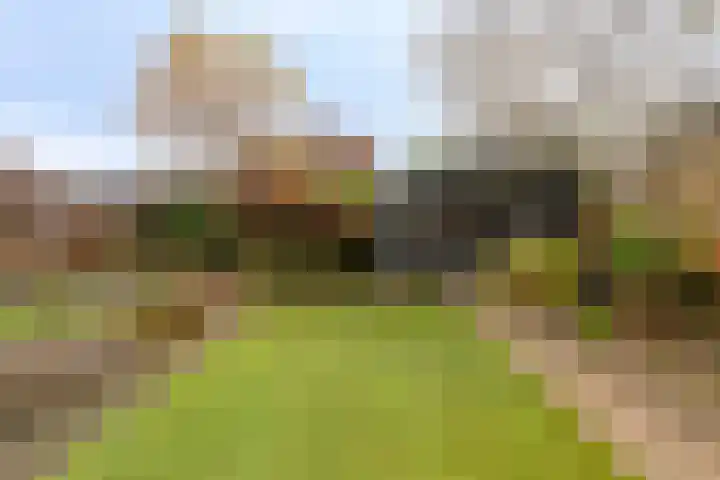 Zwaluwendonk 14 Veghel thumbnail 29