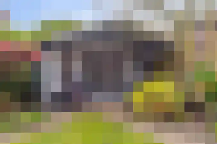 Zwaluwendonk 14 Veghel thumbnail 30
