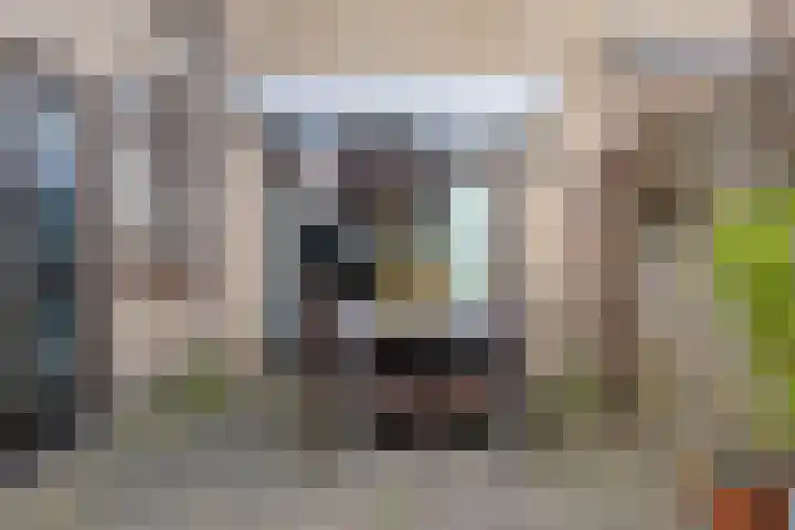 Zwaluwendonk 14 Veghel thumbnail 31