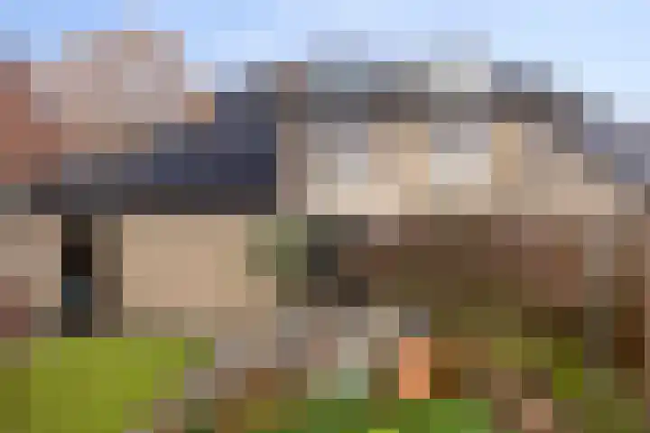 Zwaluwendonk 14 Veghel thumbnail 32