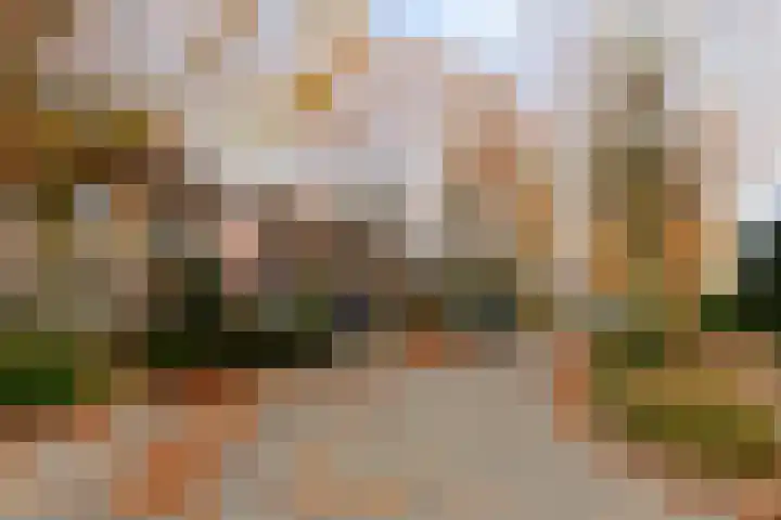 Zwaluwendonk 14 Veghel thumbnail 33