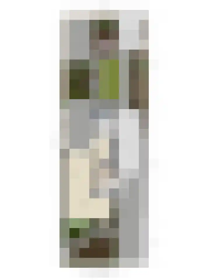 Zwaluwendonk 14 Veghel thumbnail 34