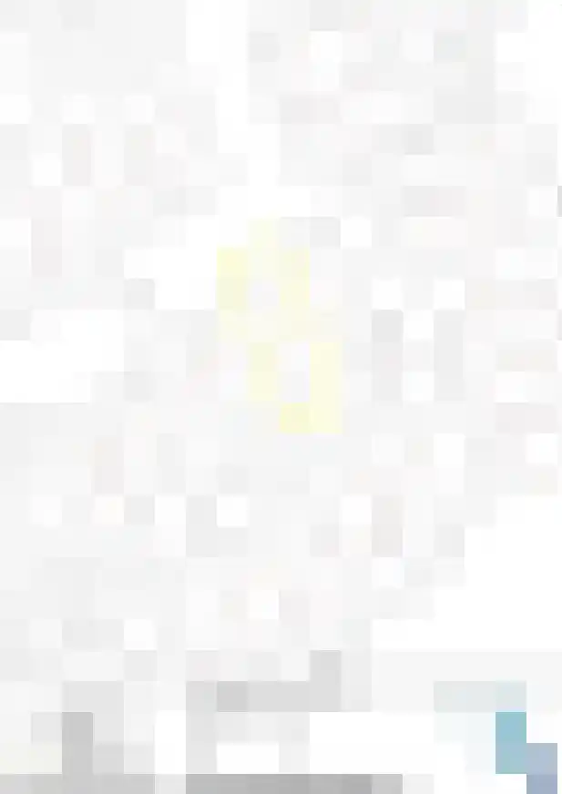 Zwaluwendonk 14 Veghel thumbnail 39