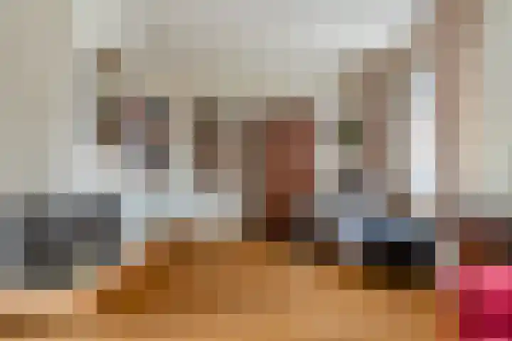 Zwaluwendonk 14 Veghel thumbnail 7