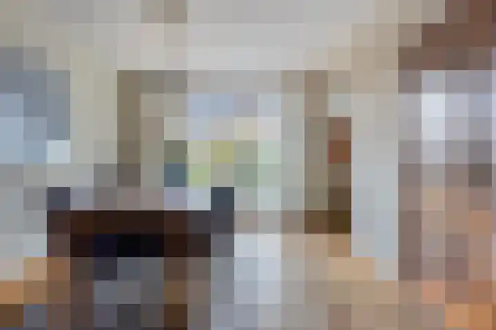 Zwaluwendonk 14 Veghel thumbnail 8