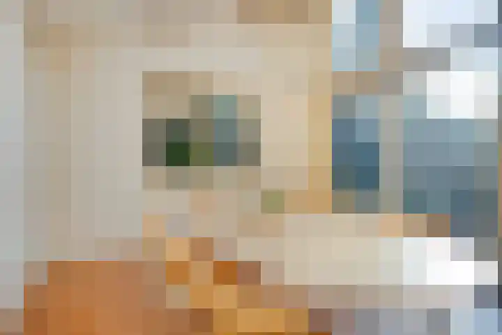 Zwaluwendonk 27 Veghel thumbnail 11