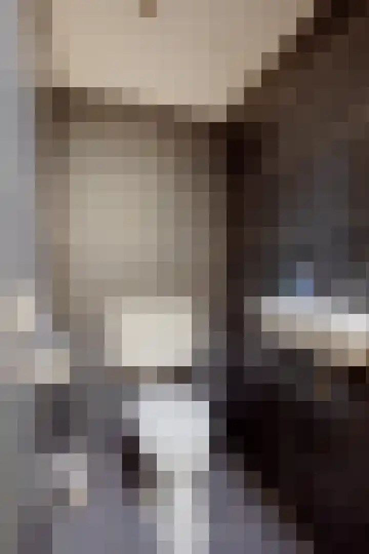 Zwaluwendonk 27 Veghel thumbnail 14