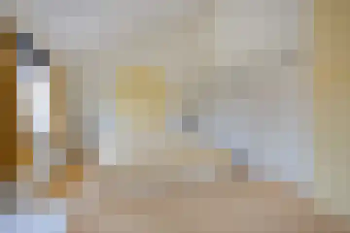 Zwaluwendonk 27 Veghel thumbnail 15