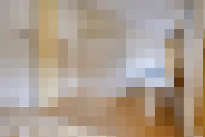Zwaluwendonk 27 Veghel thumbnail 16