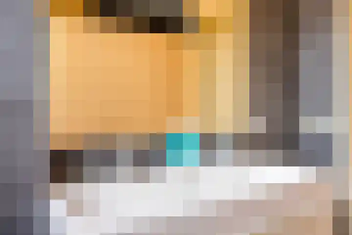 Zwaluwendonk 27 Veghel thumbnail 17