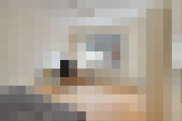 Zwaluwendonk 27 Veghel thumbnail 19