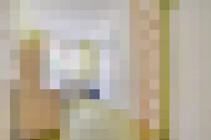 Zwaluwendonk 27 Veghel thumbnail 20