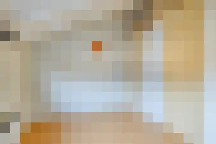 Zwaluwendonk 27 Veghel thumbnail 23