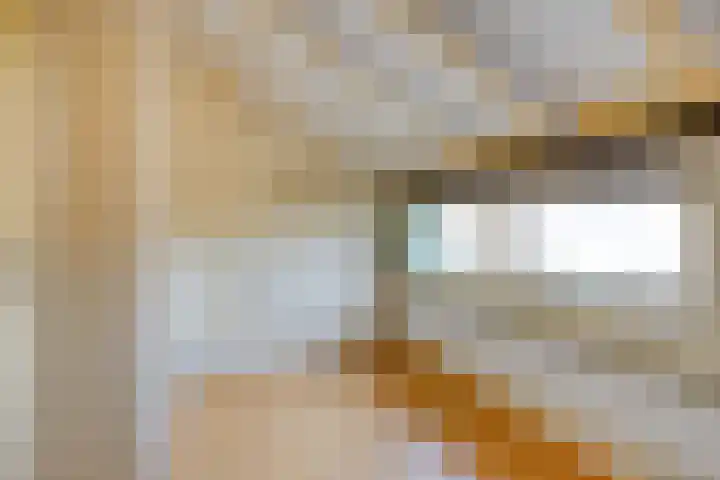 Zwaluwendonk 27 Veghel thumbnail 24