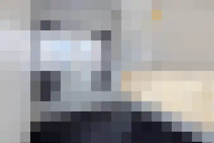 Zwaluwendonk 27 Veghel thumbnail 26