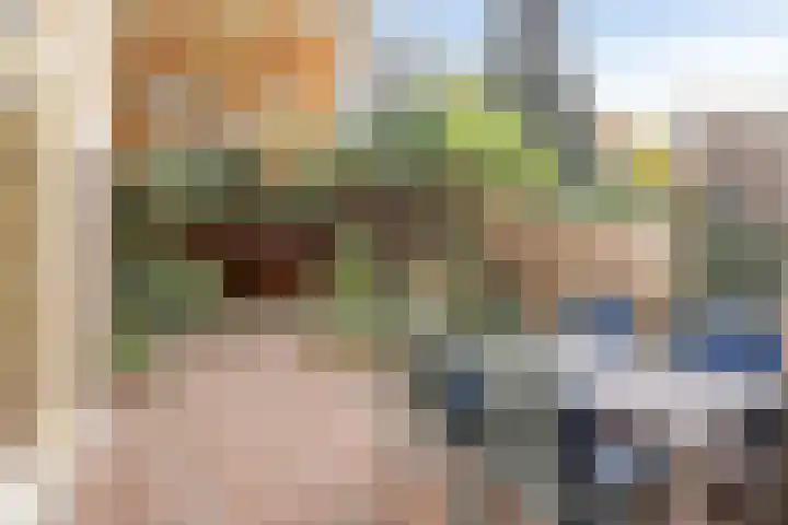 Zwaluwendonk 27 Veghel thumbnail 27