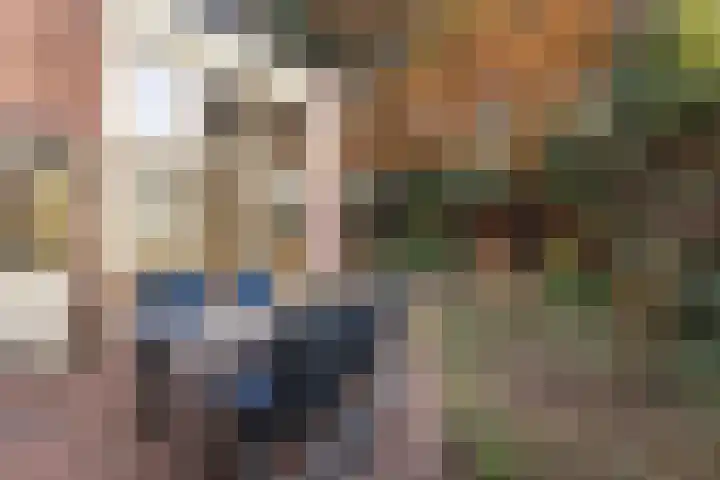 Zwaluwendonk 27 Veghel thumbnail 28
