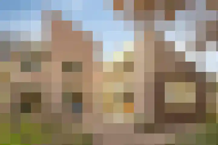 Zwaluwendonk 27 Veghel thumbnail 29