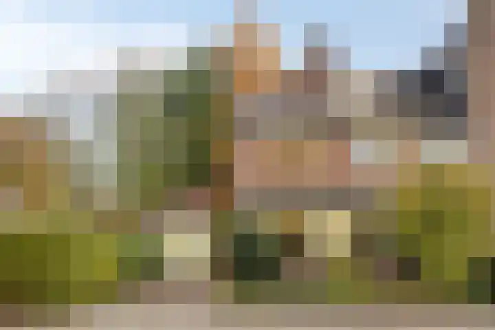 Zwaluwendonk 27 Veghel foto 3