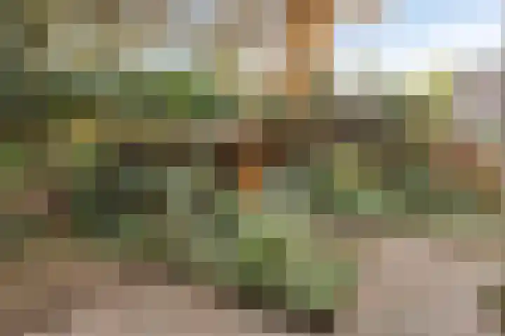 Zwaluwendonk 27 Veghel thumbnail 31