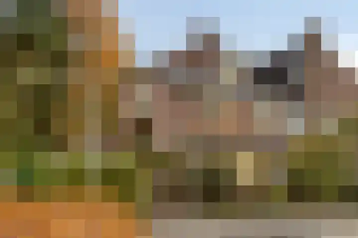 Zwaluwendonk 27 Veghel thumbnail 32