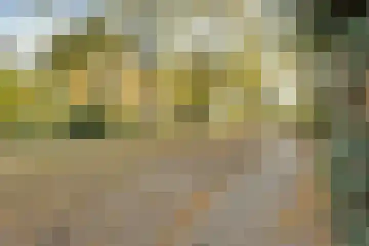 Zwaluwendonk 27 Veghel thumbnail 33