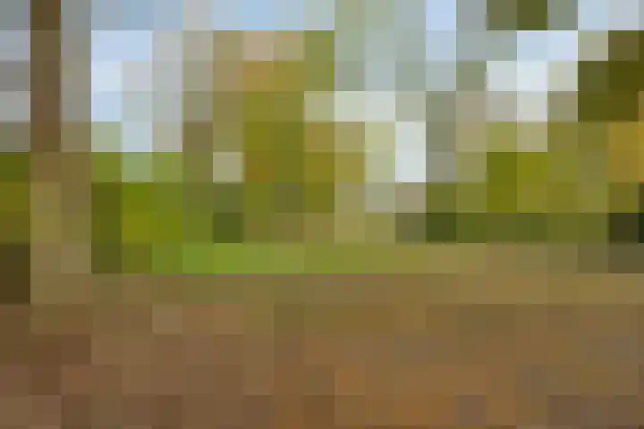 Zwaluwendonk 27 Veghel thumbnail 34