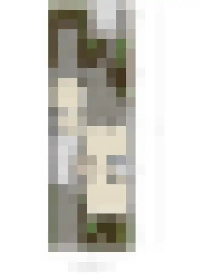 Zwaluwendonk 27 Veghel thumbnail 35