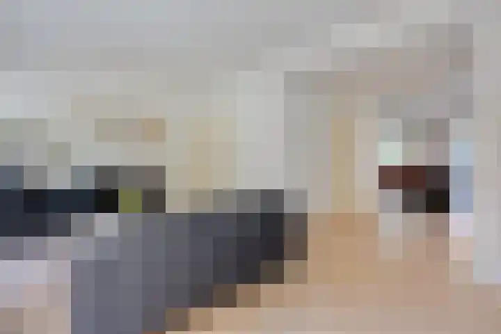 Zwaluwendonk 27 Veghel thumbnail 6
